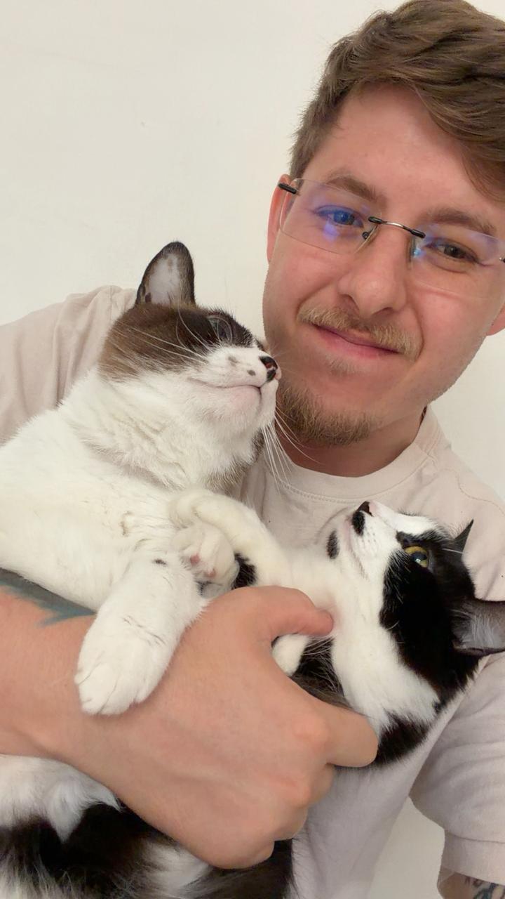 Romeu e Tereza Mendoz, os peludo da casa